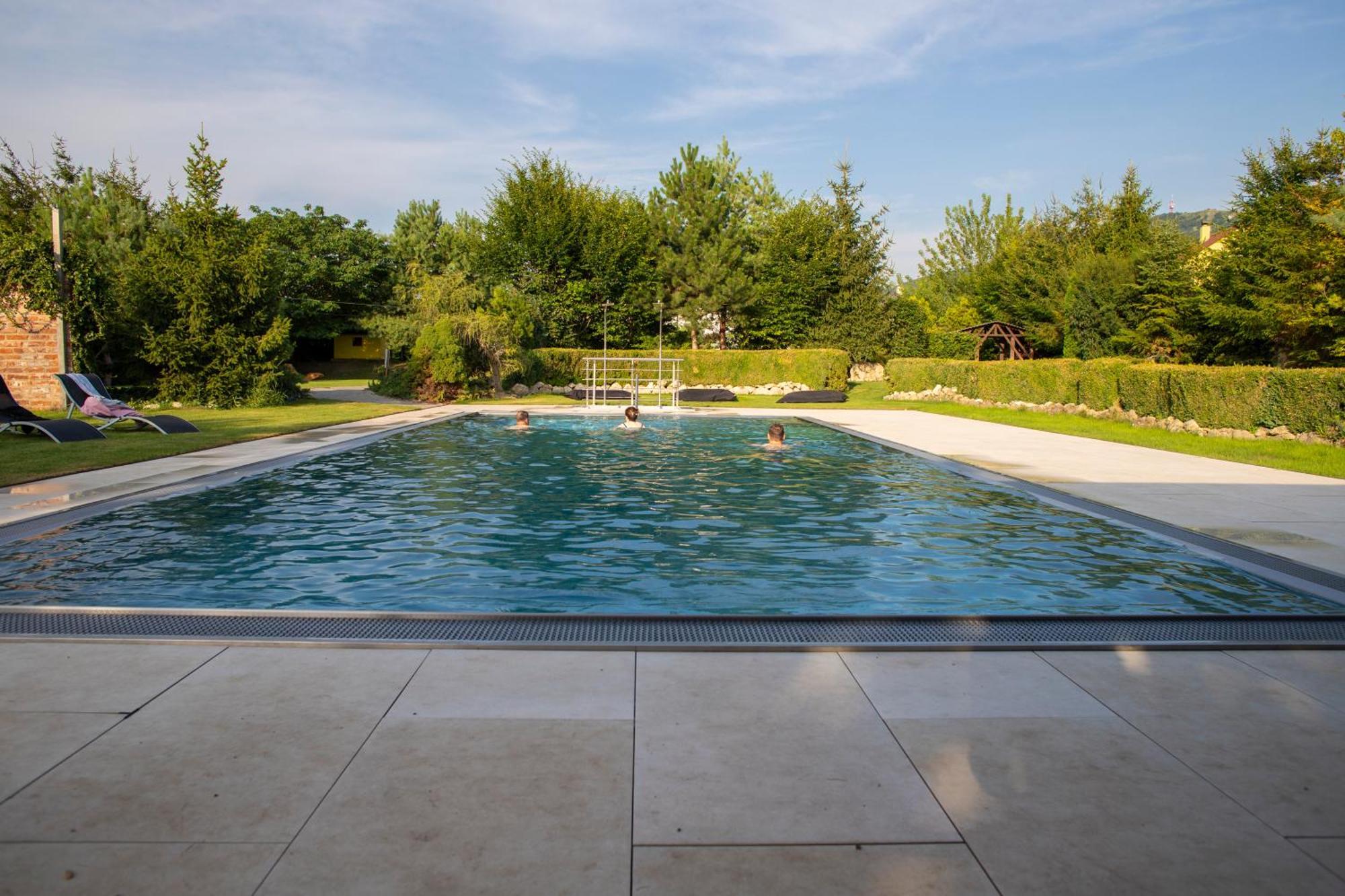 Amenity Penzion Horni Vestonice Exterior foto